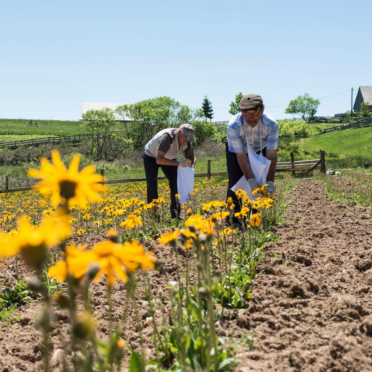 S051036583 - Pametni nakupi S05103658 3