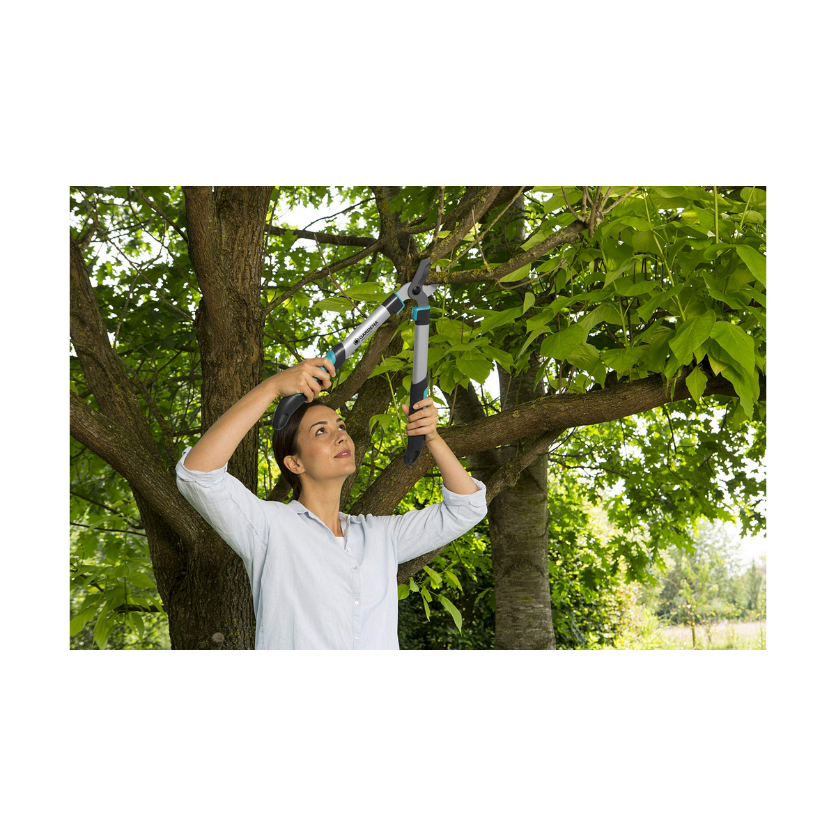 S79082206 - Pametni nakupi S7908220 6