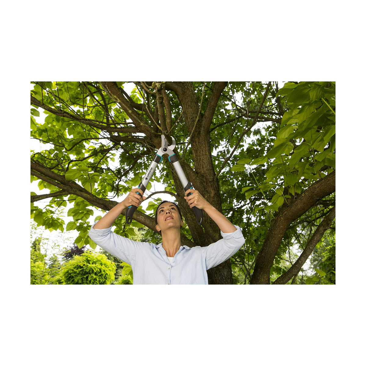 S79082201 - Pametni nakupi S7908220 1