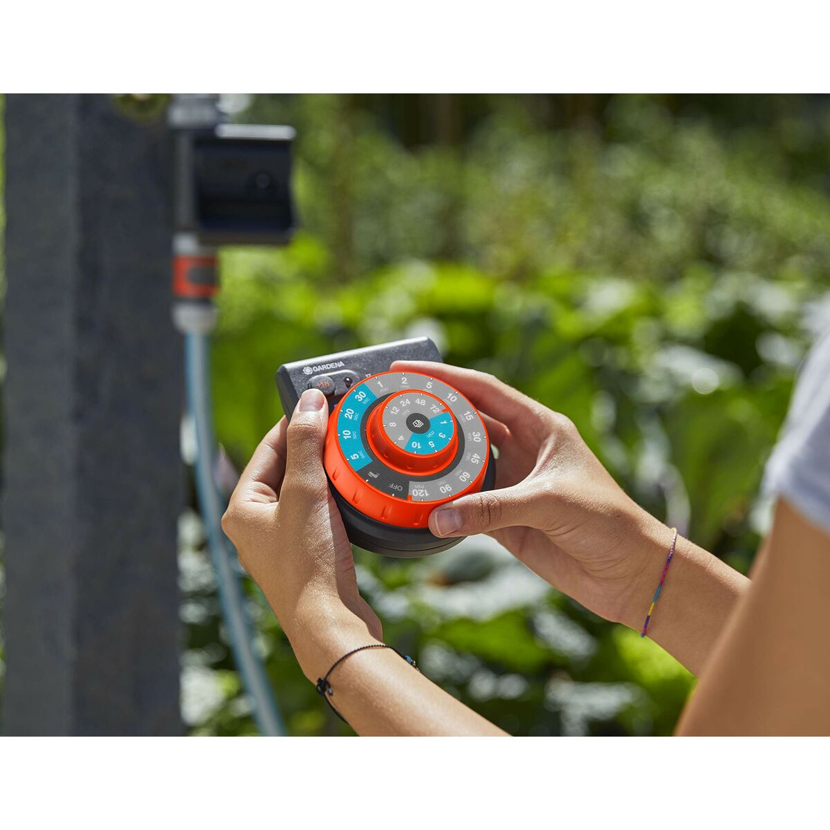 S79077172 - Pametni nakupi S7907717 2