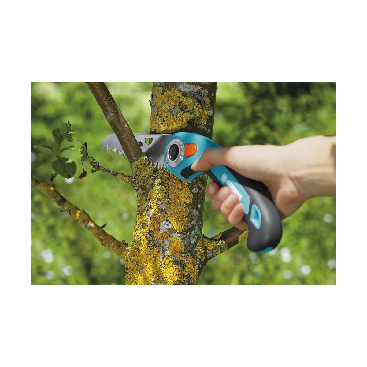 S79082242 - Pametni nakupi S7908224 2