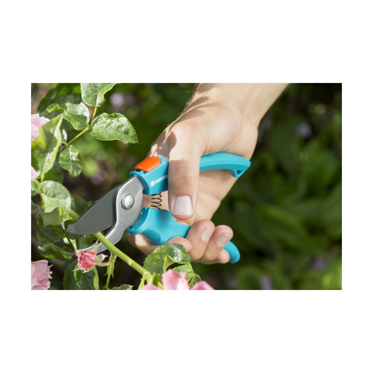 S79082152 - Pametni nakupi S7908215 2