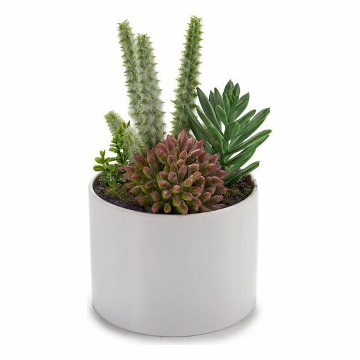 S36005420 - Pametni nakupi S3600542 0