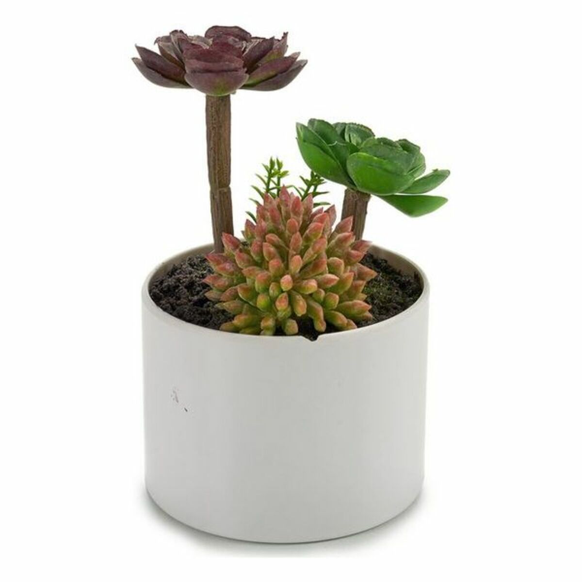 S36005422 - Pametni nakupi S3600542 2