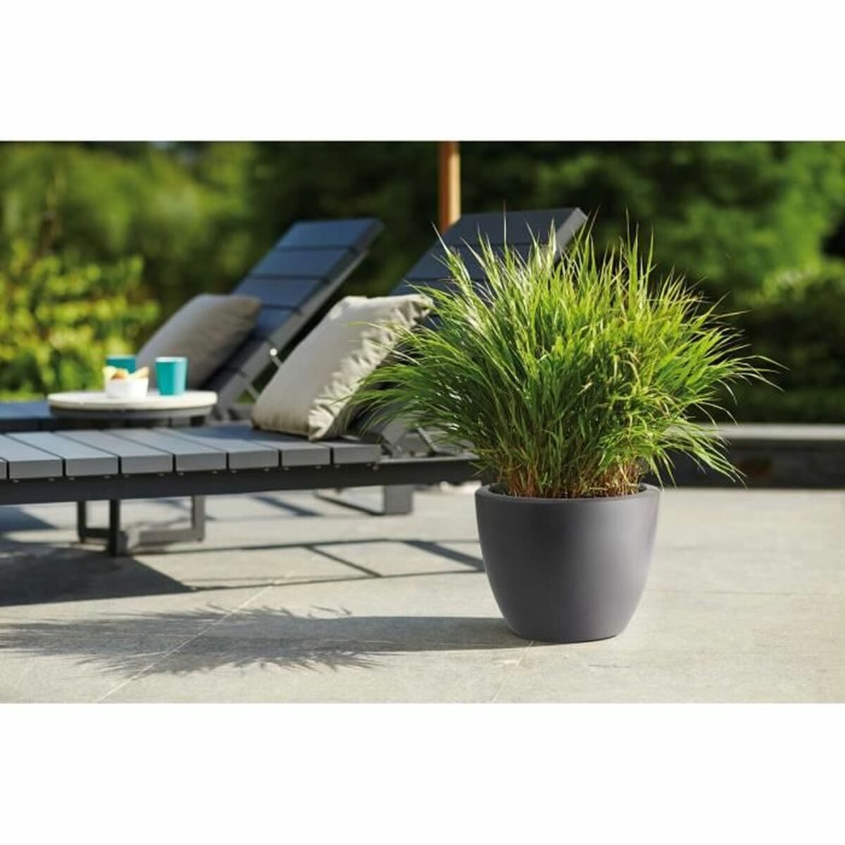 S71678661 - Pametni nakupi S7167866 1