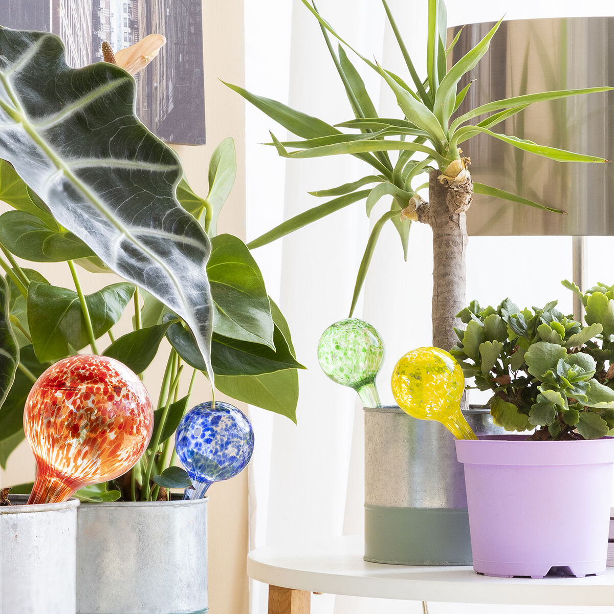 V01036278 - Pametni nakupi V0103627 8