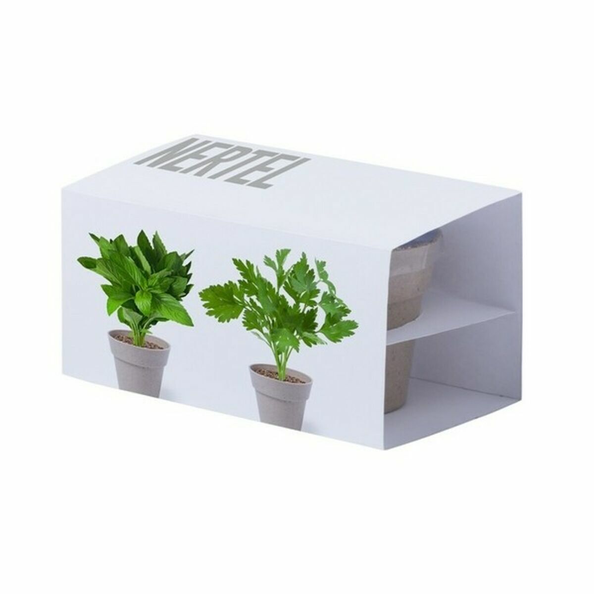 S14466552 - Pametni nakupi S1446655 2