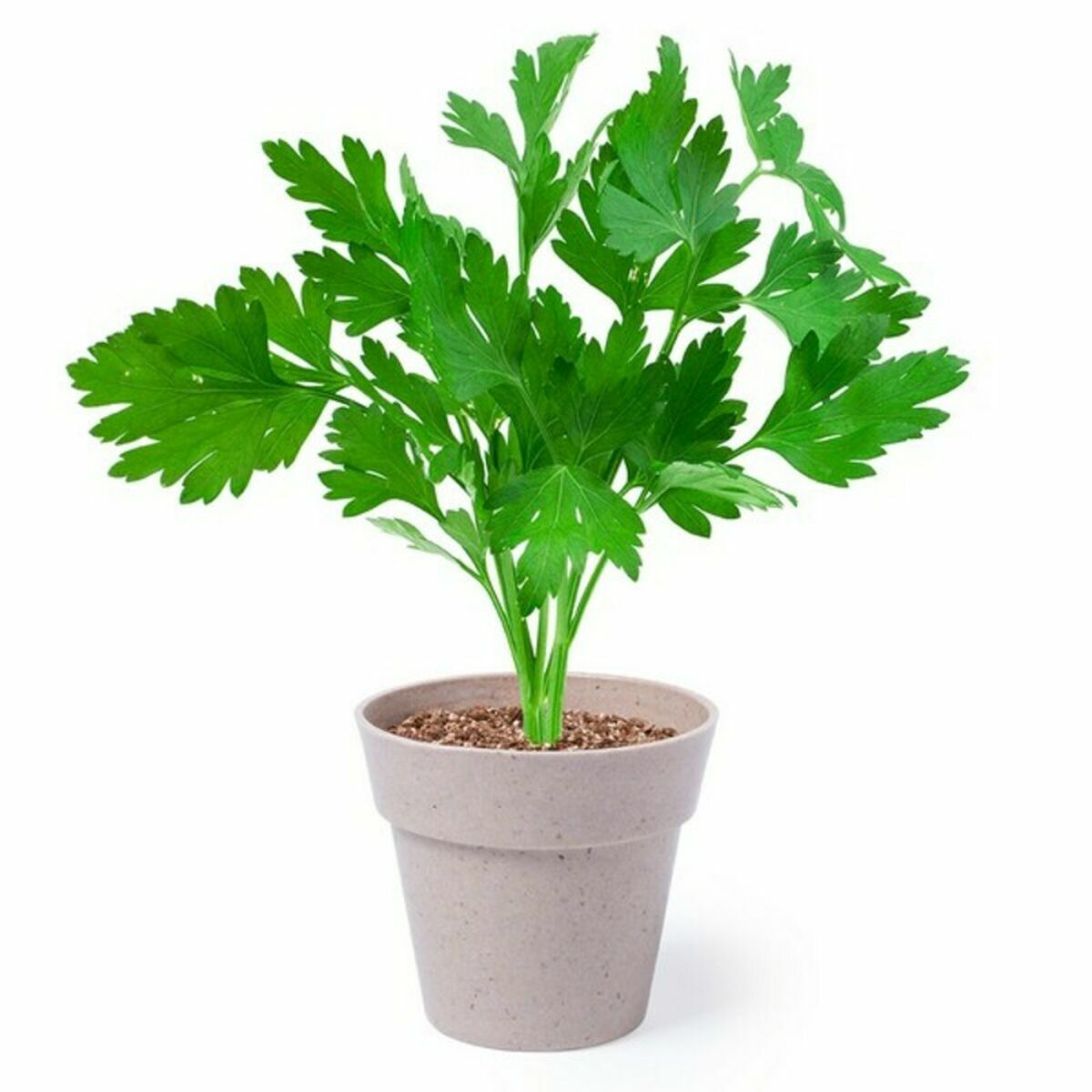 S14466553 - Pametni nakupi S1446655 3