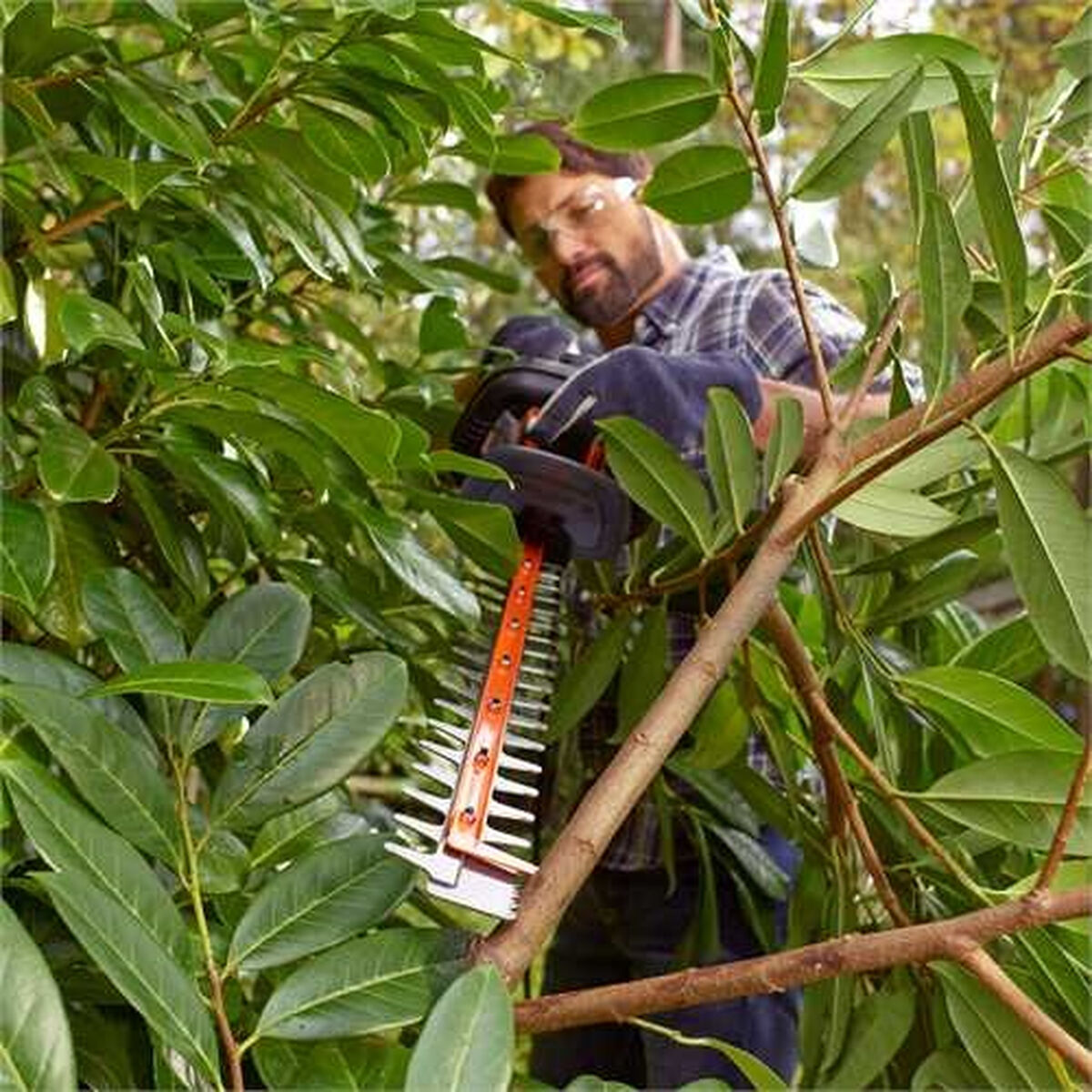 S79114843 - Pametni nakupi S7911484 3