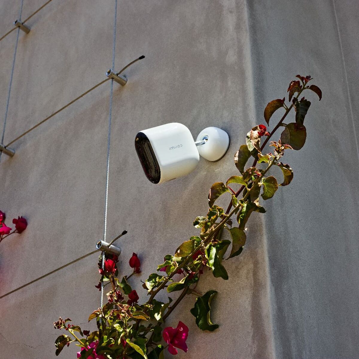 S81021402 - Pametni nakupi S8102140 2