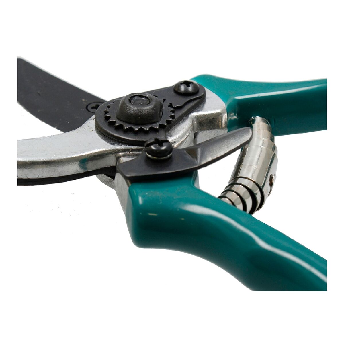 S65002984 - Pametni nakupi S6500298 4