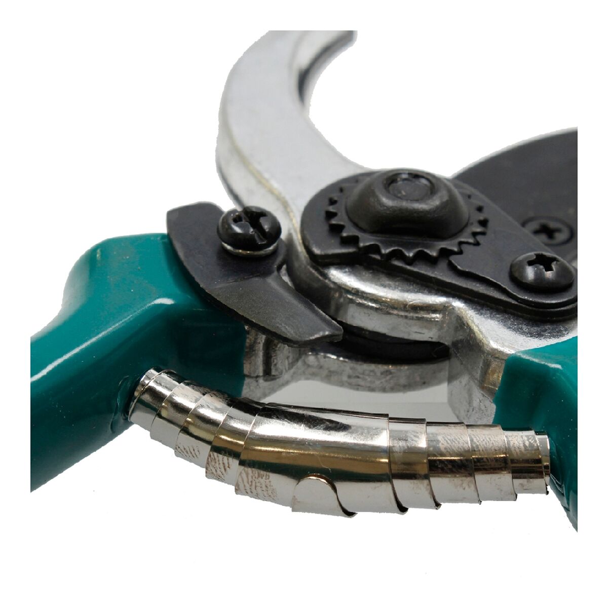 S65002985 - Pametni nakupi S6500298 5