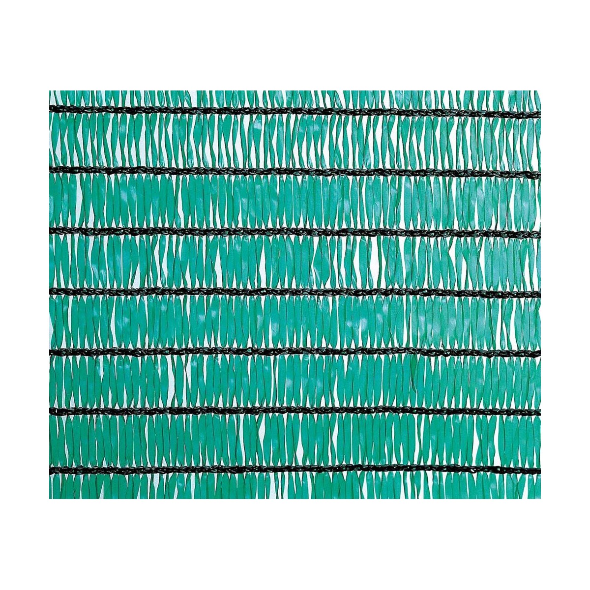 S79074130 - Pametni nakupi S7907413 0